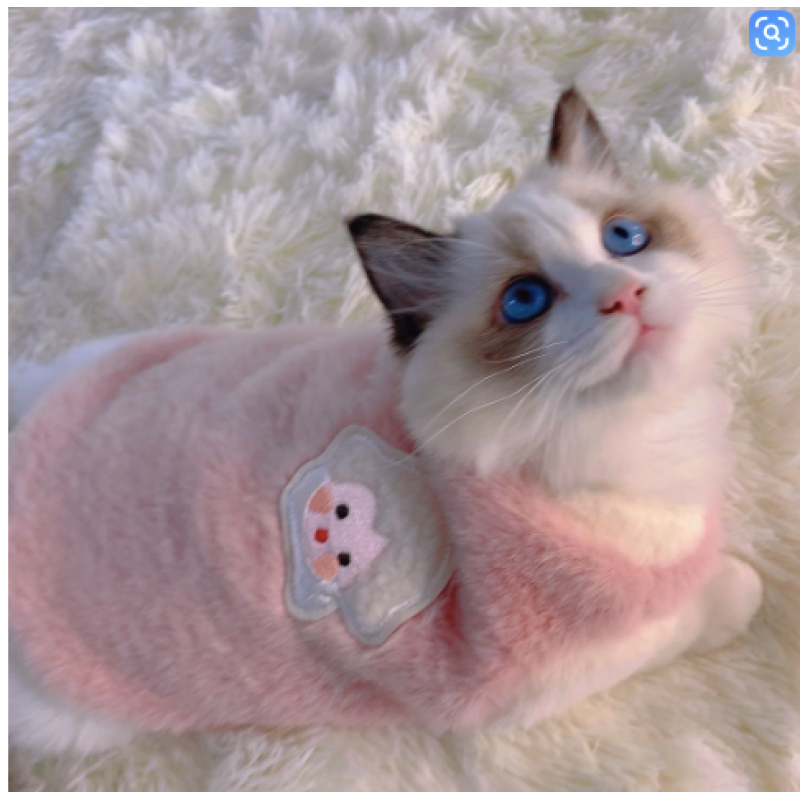 PET CLOTHES 