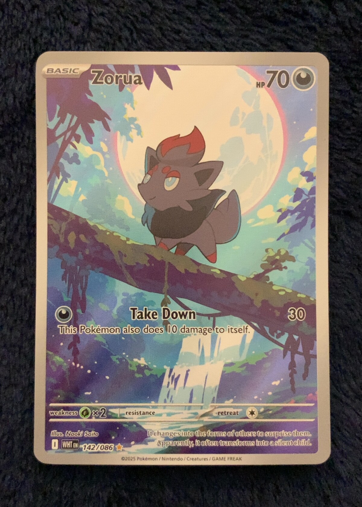 Zorua • White Flare • #142 • NM